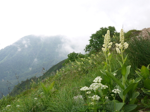 f0054075_21014671.jpg