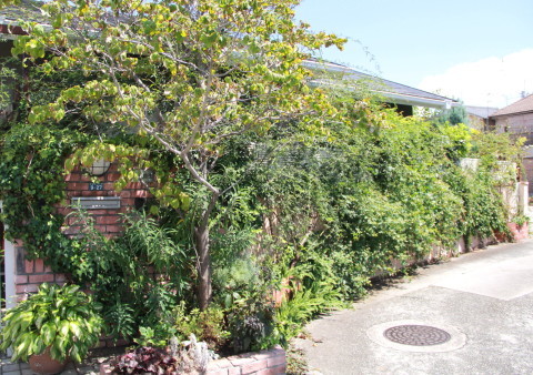 e0154682_23520527.jpg