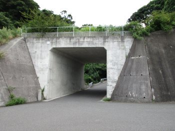 f0003283_19372536.jpg