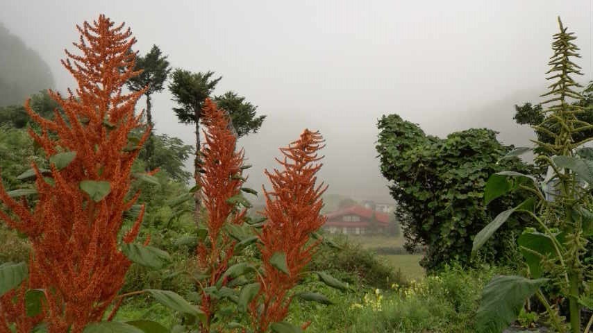 a0130586_8352383.jpg