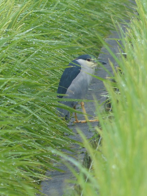 f0357487_2149151.jpg