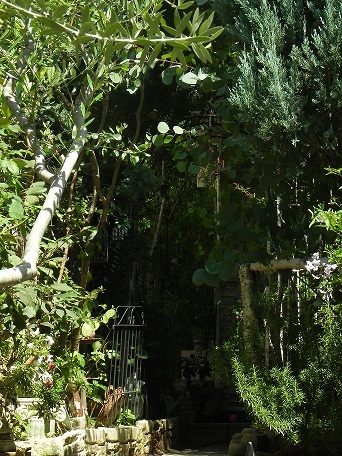 c0152002_10091601.jpg