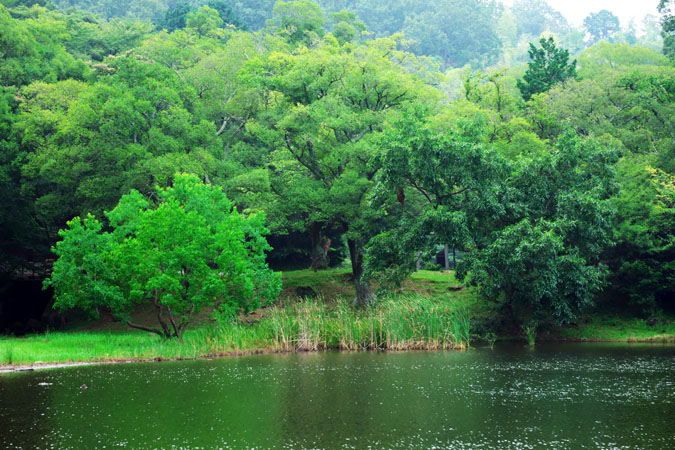 a0263109_12171151.jpg