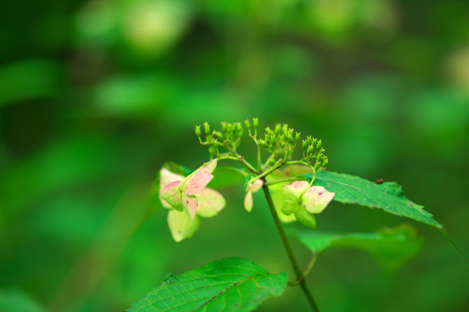 a0263109_8341554.jpg