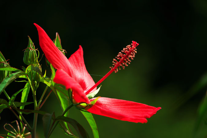 a0263109_8414540.jpg