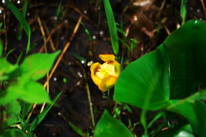 a0263109_8443515.jpg