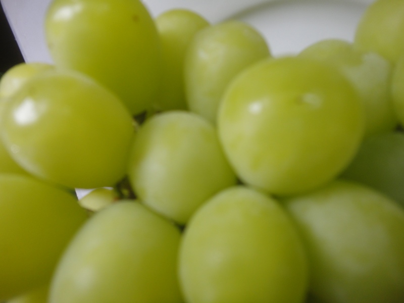 f0231709_20151823.jpg