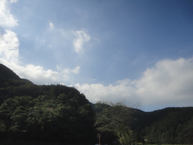f0231709_3541546.jpg