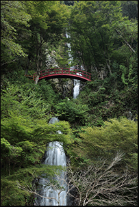 f0078127_8514544.jpg