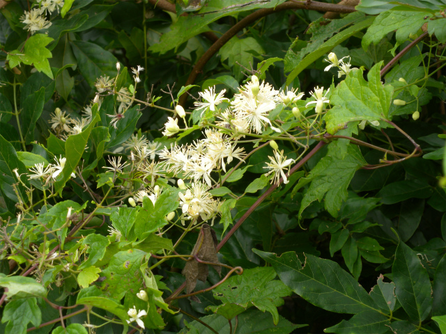 e0272335_15221660.jpg