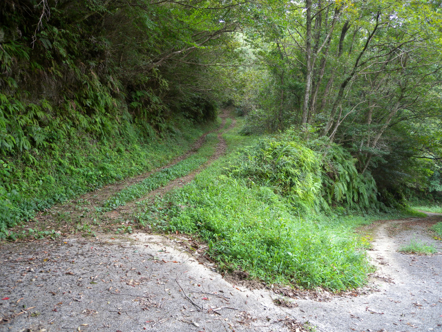 e0272335_1550462.jpg