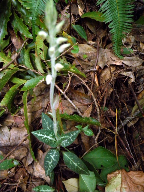 e0272335_15565277.jpg
