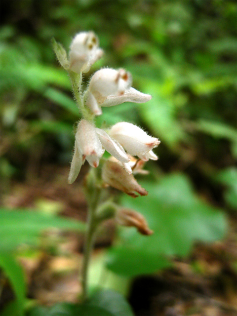 e0272335_1623218.jpg