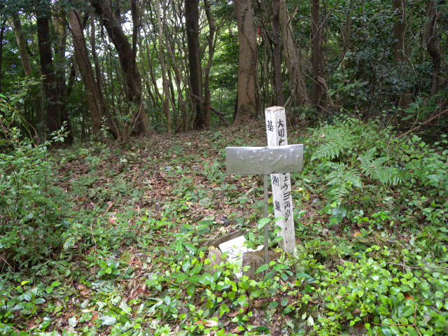 e0272335_168495.jpg