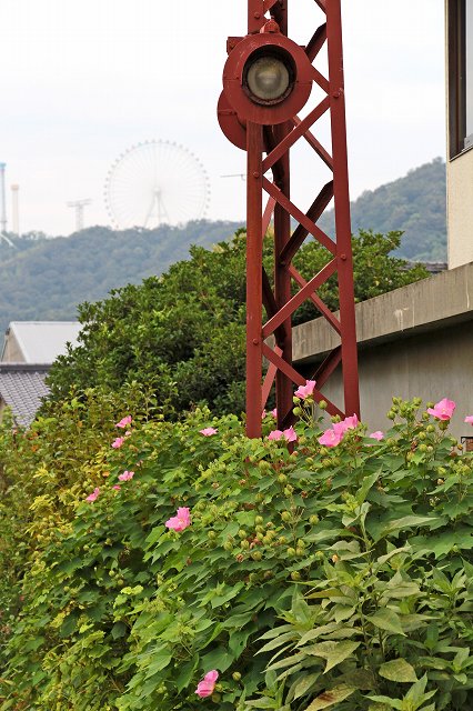 a0242438_18352484.jpg