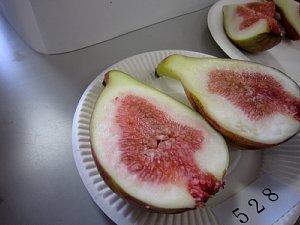 c0141652_9594258.jpg