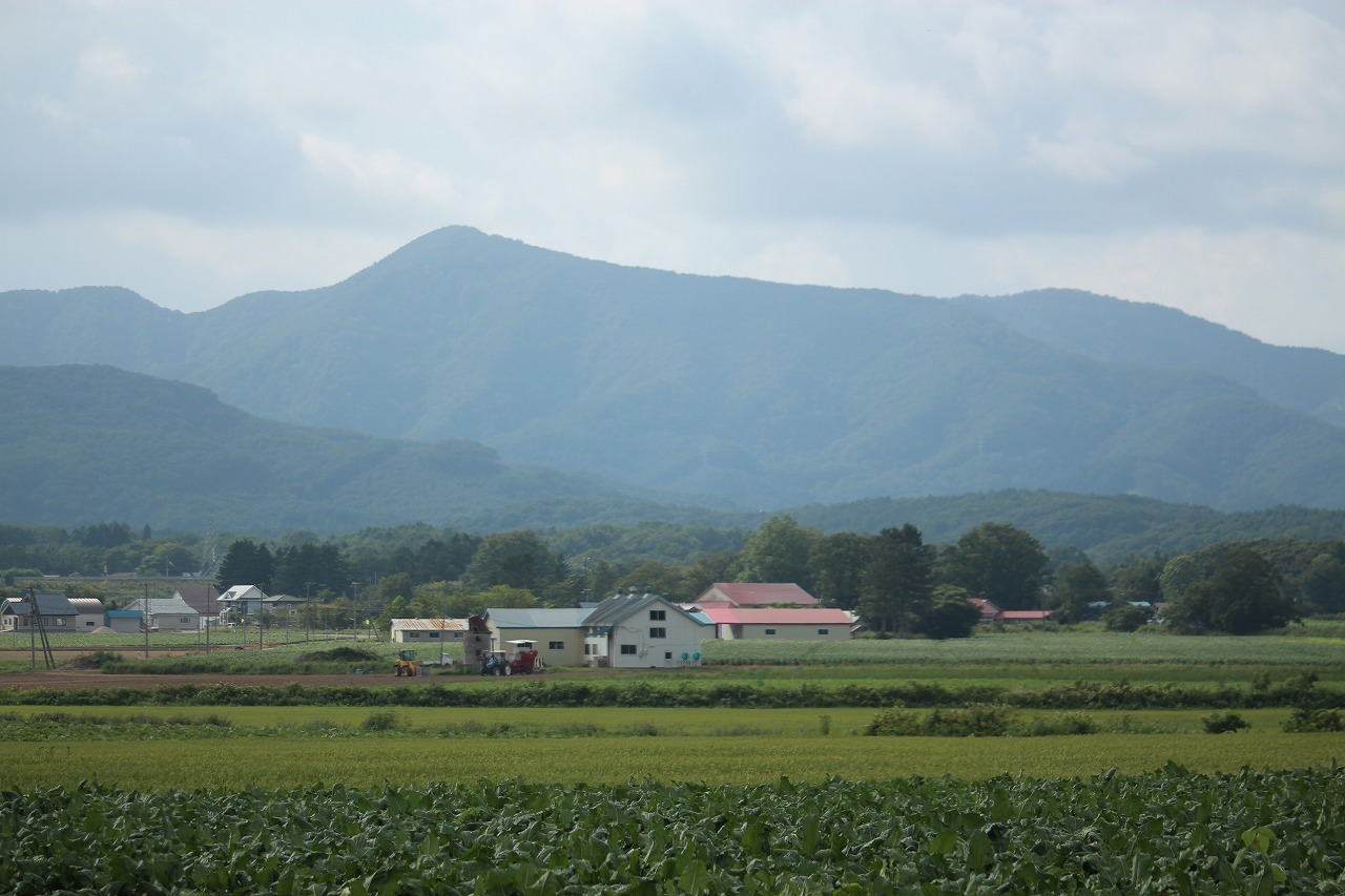 b0250154_20233420.jpg