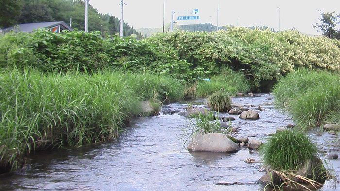 b0208961_1738274.jpg