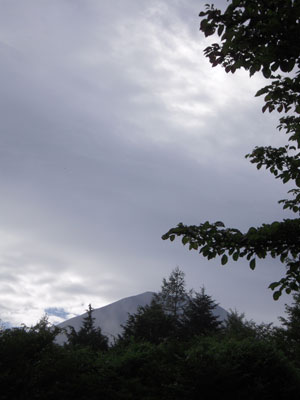 c0050264_1981141.jpg