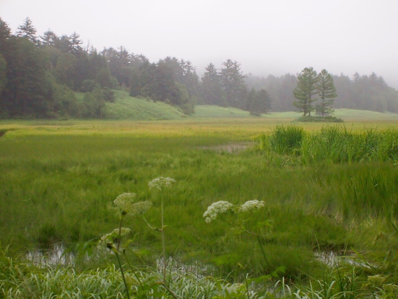c0321967_10593997.jpg