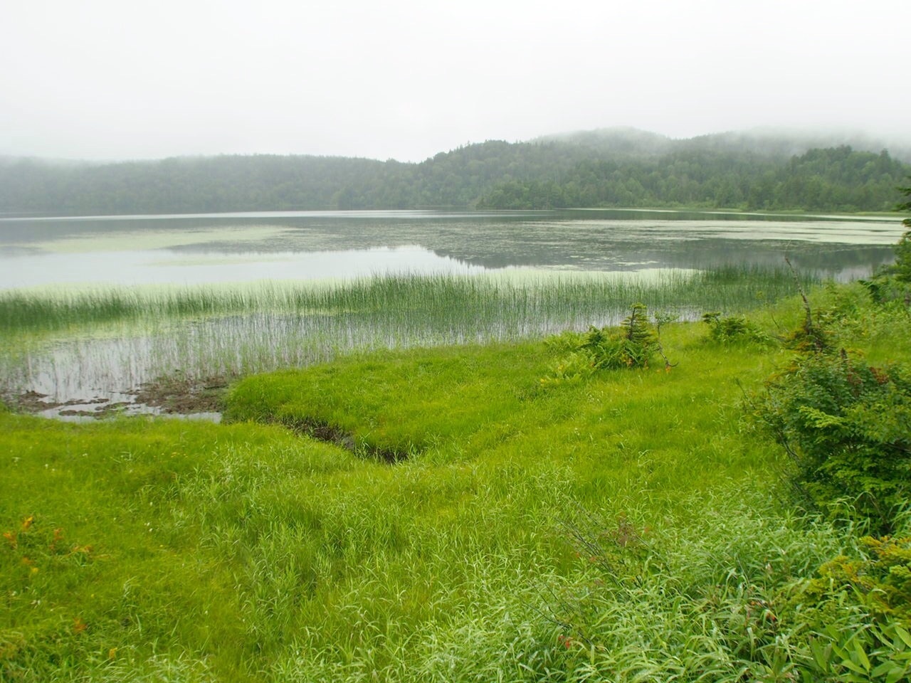 c0321967_11464874.jpg