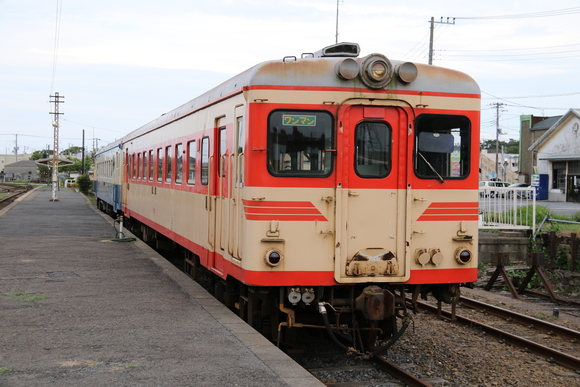 d0187275_20332833.jpg