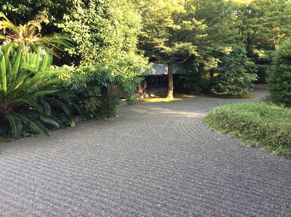 d0149306_18225671.jpg