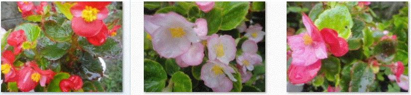 f0231709_8214450.gif