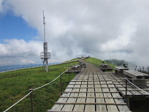 a0164011_2254558.jpg