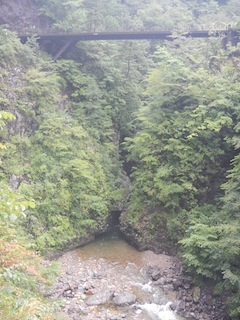 c0359615_13574604.jpg