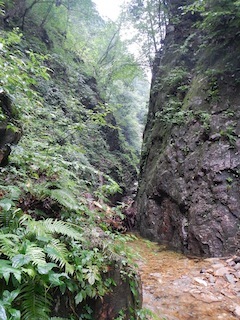 c0359615_13592116.jpg