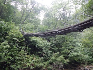 c0359615_13593324.jpg