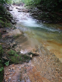 c0359615_14000130.jpg