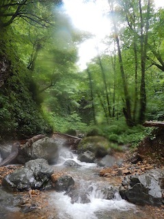 c0359615_14001120.jpg