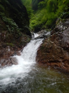 c0359615_14002064.jpg