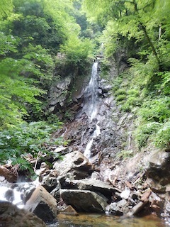 c0359615_14015672.jpg