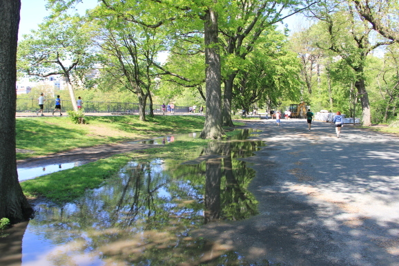c0328616_10261504.jpg