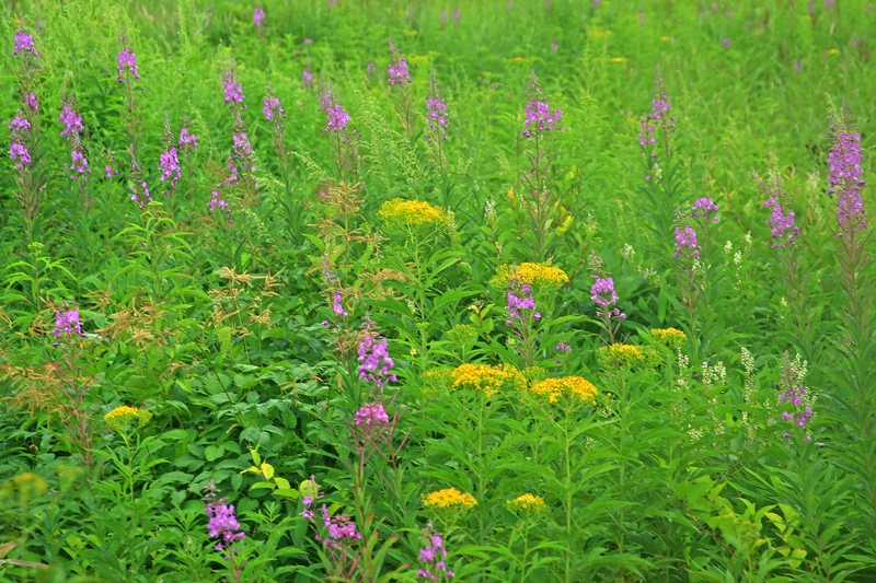 c0104227_21575543.jpg