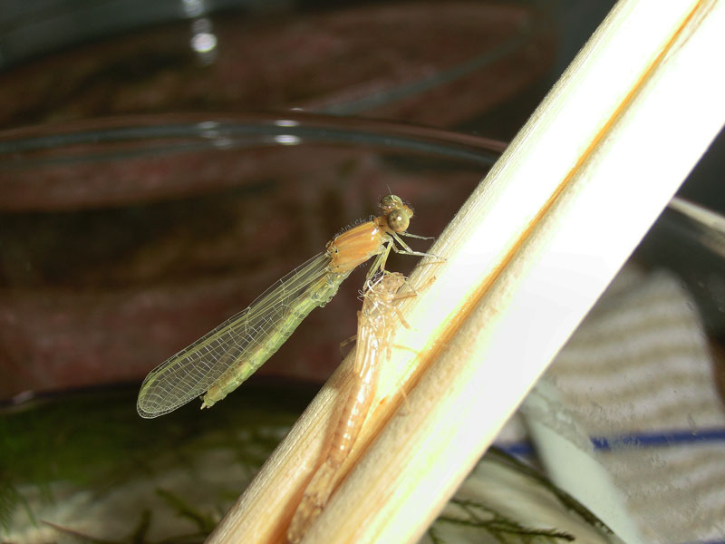 a0126632_1591686.jpg