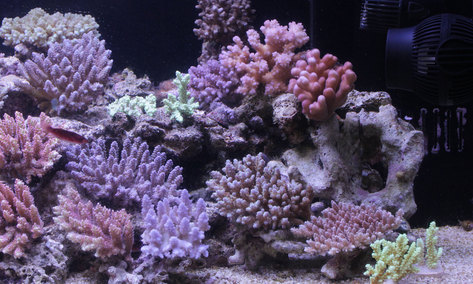 d0221436_20382462.jpg