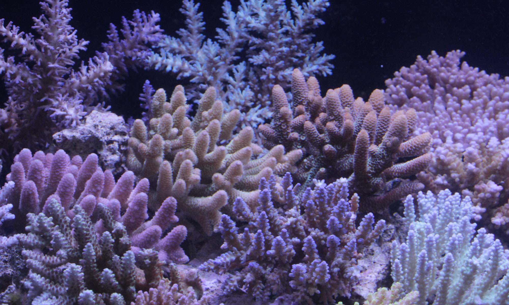 d0221436_20394928.jpg