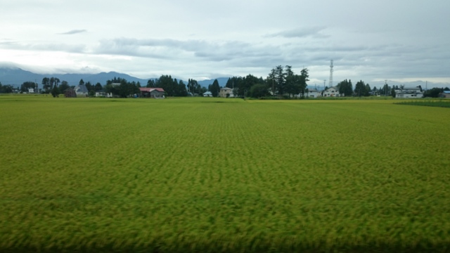 b0075140_21404821.jpg