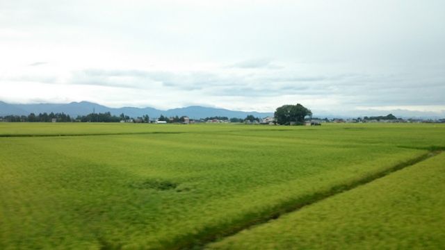 b0075140_2141474.jpg