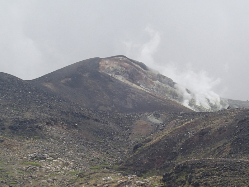 b0190242_14313385.jpg