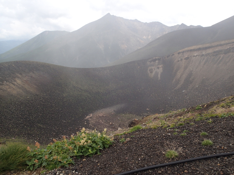 b0190242_14323260.jpg