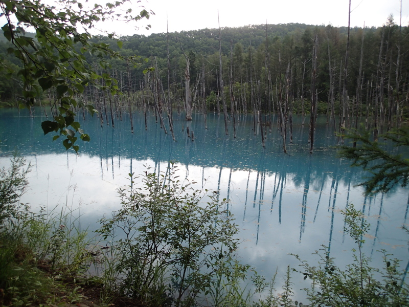 b0190242_14452840.jpg