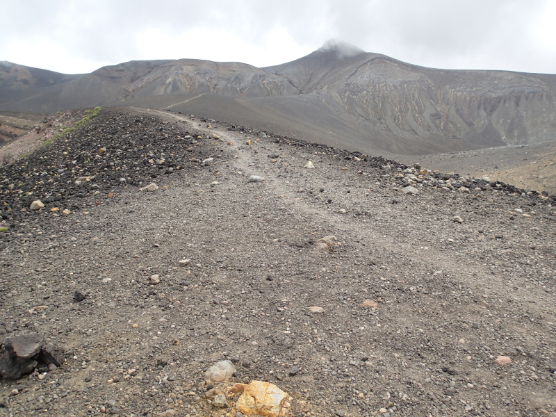 b0190242_1521351.jpg