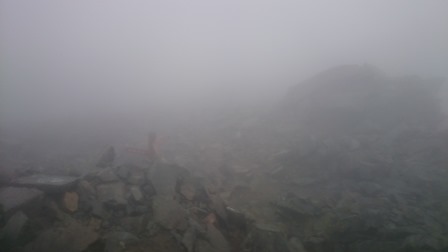 b0148050_17222781.jpg