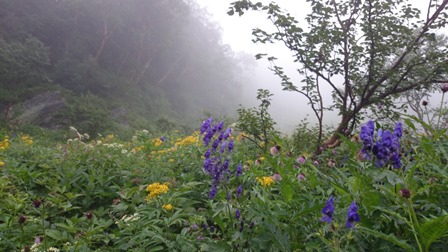 b0148050_1724494.jpg