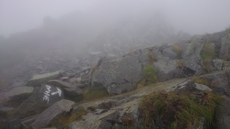 b0148050_1724714.jpg